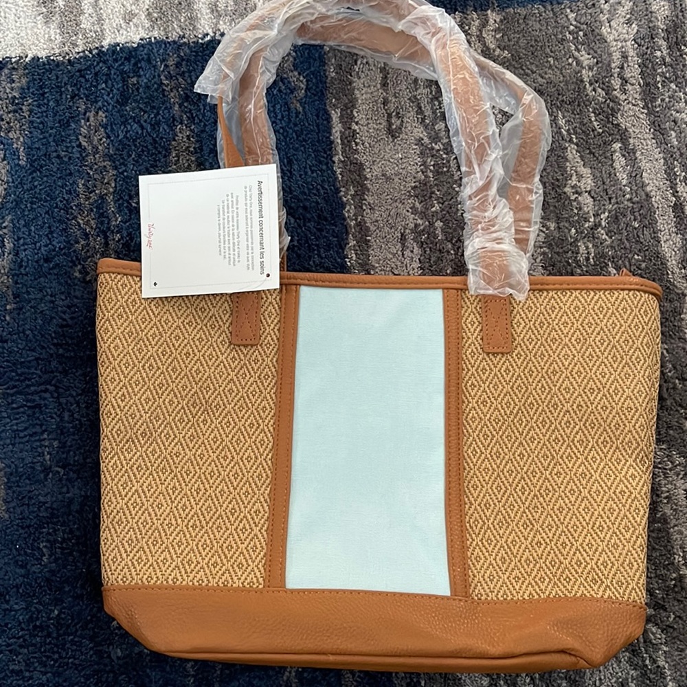 31 bag-Brown with Robin Egg Blue stripe and liner